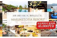 マリントピア リゾート 京都天橋立 宮津市内指定施設 全日可 宿泊券 45,000円分【 グランピング & リゾート ヴィラ 】 アウトドア キャンプ 旅行 温泉[№5716-0480]