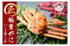 蟹 茹で松葉蟹 特々大2杯（1,100g級）[ かに カニ ] [№5716-0562]