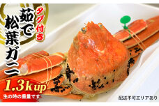 松葉ガニ　茹で　タグ付き　1.3kg up《2024年11月中旬〜12月中旬、もしくは、2025年1月中旬以降以降順次発送》   [№5716-0546]