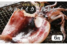 柔らか肉厚の スルメイカ 一夜干し 6枚[ 国産 干物 肴 つまみ イカ ][№5716-0565]