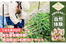 京都府産　お土産付き生姜収穫体験 新生姜お土産2kg付＋民泊宿泊(2名様分)チケット[№5716-0639]