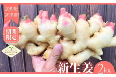【2025年発送分予約】京都府産　新生姜 2kg 栽培期間中 農薬 化学肥料 除草剤不使用 生姜 しょうが 酢漬け 薬味 野菜 紅茶 ガリ チューハイ 健康 国産 おつまみ[№5716-0631]