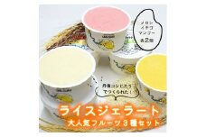 【グルテンフリー・乳不使用】お米でできたライスジェラート 大人気フルーツ6個セット（3種各2個）[№5716-0655]