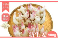 新生姜 京都府宮津産 25年発送分受付_新生姜 900g 生姜 しょうが ショウガ 野菜 薬味 瑞々しい 甘酢漬け 宮津市 京都府[№5716-0679]