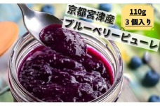 ブルーベリーピューレ 3個セット ピューレ フルーツソース ブルーベリー100% 無糖 ヨーグルト パン 宮津市 京都 [№5716-0684]