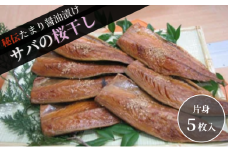 サバ桜干し(片身 5枚) 鯖 料理 魚 宮津 丹波 京都 手作り ご飯のお供 加工食品 水産物 魚介 [№5716-0702]
