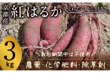 京都府産　サツマイモ (紅はるか) 3kg　栽培期間中農薬・化学肥料・除草剤不使用[№5716-0747]