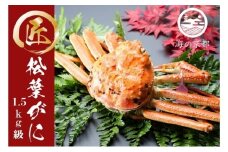 茹で松葉蟹　プレミアム　1杯（1,500g級）〈入荷あり次第配送〉 蟹 カニ かに 松葉蟹 松葉ガニ ズワイガニ ボイル[№5716-0756]