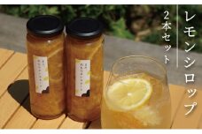 レモンシロップ 2本セット[№5716-0758]
