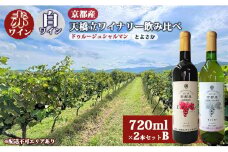 赤ワイン ・ 白ワイン 京都産 天橋立ワイナリー 飲み比べ 720ml×2本セットB（ 2022ドゥルージュシャルマン やや甘口 、とよさか 甘口 ） [№5716-0413]