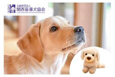 【返礼品相当額で盲導犬の育成を支援】支援額15,000円(記念品あり)エコバッグなど盲導犬協会オリジナルグッズ進呈[行きたい場所に安心していける社会に…]