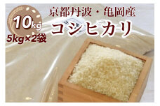 令和5年産 米 10kg 京都丹波産 コシヒカリ 白米＜JA京都 たわわ朝霧＞ 発送に合わせて精米