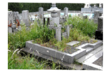 親孝行代行サービス　墓地の除草作業