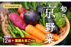 【12回定期便】旬の京野菜 毎月お届けスペシャルコース（全12回）＆『葉酸たまご』10個入り×1パック×3回分付き《野菜定期便 野菜詰め合わせ 野菜セット 京野菜 旬の野菜 新鮮野菜 卵 野菜 定期便 12回 卵》