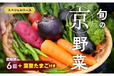 【6回定期便】旬の京野菜　毎月お届けスペシャルコース（全6回）＆『葉酸たまご』10個入り×1パック×3回分付き《野菜定期便 野菜詰め合わせ 野菜セット 京野菜 旬の野菜 新鮮野菜 卵 野菜 定期便 6回 卵》※沖縄・離島・諸島へのお届け不可 