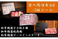 ひら山厳選　京の肉頒布会B［定期便］ | ひら山牛肉定期便 京の肉牛肉定期便 頒布会牛肉定期便 定期便牛肉定期便 牛肉定期便 ぎゅうにく定期便 ギュウニク定期便 人気牛肉定期便 おすすめ牛肉定期便 高級牛肉定期便 牛肉 宅配 定期便 肉 牛肉通販 国産牛肉定期便 和牛定期便 黒毛和牛定期便 高級定期便 冷凍牛肉定期便 牛肉定期便 3ヶ月牛肉定期便 3回牛肉定期便