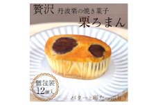 ＜洋菓子館 ベルジェノア＞丹波銘菓物語　栗ろまん《栗 洋菓子 セット》