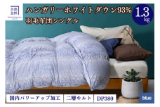 【ブルー（柄）】羽毛布団 シングル 軽くて暖かい、ふかふか羽毛布団 本掛けタイプ 1枚お届け シングルサイズ【株式会社京都金桝 ハンガリー産ホワイトダウン93％使用 重量1.3kg DP380 2層キルト ミスト 京都亀岡産羽毛布団 ふるさと納税羽毛布団 人気羽毛布団 国産羽毛布団 日本製羽毛布団 亀岡産羽毛布団 新生活 亀岡の羽毛布団 京都府の羽毛布団 国内製造羽毛布団 新生活羽毛布団】 re06
