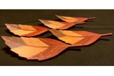 あざやか木の葉の銘々皿　桧箱入り5枚セット≪木製 桧 ヒノキ ひのき キッチン インテリア 料理 お皿≫