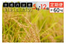 【定期便】令和6年産 米 5kg 12ヶ月 京都丹波産 コシヒカリ 白米＜JA京都 たわわ朝霧＞ 12回定期便 5kg×12回 計60kg 毎月発送に合わせて精米 ≪農協 令和6年産 米 白米 精米 12ヶ月 産地直送 送料無料 簡易包装 コメ 数量限定 京都 お取り寄せ 人気 国産 定期≫