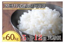 【定期便】令和6年産 米 5kg 12ヶ月 京都丹波産 キヌヒカリ 白米＜JA京都 たわわ朝霧＞ 12回定期便 5kg×12回 計60kg 毎月発送に合わせて精米
