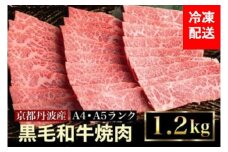 訳あり 京都産黒毛和牛(A4,A5) 焼肉 用 1.2kg 京の肉 ひら山 厳選 ≪生活応援 牛肉 和牛 国産 丹波産 冷凍 訳あり牛肉 焼肉牛肉 黒毛和牛牛肉 京都産牛肉 A4牛肉 A5牛肉 京の肉牛肉 ひら山牛肉 国産牛肉 丹波産牛肉 冷凍牛肉 牛にく ギュウニク A4 A5 訳あり 黒毛和牛 京都産 焼肉用 グルメ 肉 牛 精肉 ≫