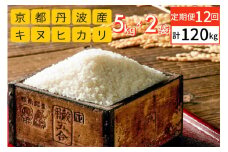 【定期便】令和6年産 米 10kg 12ヶ月 京都丹波産 キヌヒカリ 白米＜JA京都 たわわ朝霧＞ 12回定期便 10kg（5kg×2袋）×12回 計120kg 毎月発送に合わせて精米