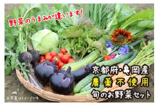 京都府・亀岡産 無農薬・自然栽培で育てた体も心も喜ぶ、かたもとオーガニックファームの季節のお野菜セット　10～20品目　≪産地直送　朝採れ　新鮮　京野菜≫