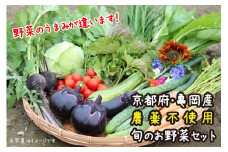 【12回定期便】京都府・亀岡産 自然農法＆農薬を使わずに育てた体も心も喜ぶ、かたもとオーガニックファームの季節のお野菜セット 毎回10～20品目 ※離島への発送不可