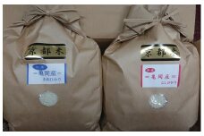 米 契約農家の亀岡米食べ比べセット（コシヒカリ 5kg キヌヒカリ 5kg）10kg ◆食べくらべ 米 白米 ふるさと納税米