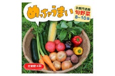 【8回定期便】＜３６９商店＞京都丹波産旬の野菜セット　※全て栽培期間中農薬・化学肥料不使用 ※北海道・沖縄・離島への配送不可
