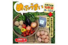 【8回定期便】＜３６９商店＞京都丹波産旬の野菜セットデラックス！平飼い卵10個、季節の果物又は加工品 ※栽培期間中農薬・化学肥料不使用※ 野菜 果物 フルーツ 定期便 8回 ケージフリー 卵 ※北海道・沖縄・離島への配送不可