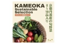 【8回定期便】＜３６９商店＞京都丹波産旬の野菜セットデラックス！平飼い卵10個、季節の果物又は加工品 ※栽培期間中農薬・化学肥料不使用※ 野菜 果物 フルーツ 定期便 8回 ケージフリー 卵 ※北海道・沖縄・離島への配送不可