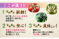 《アスカ有機農園》（栽培期間中農薬・化学肥料不使用）旬の京野菜セットS