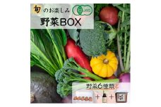＜京都・矢田の里＞産地直送！旬の有機ＪＡＳ認定 京野菜・農家のこだわり野菜・新鮮卵など 直売所 お楽しみセット≪オーガニック野菜 栽培期間中農薬・化学肥料不使用≫