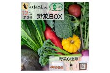 【12回定期便】＜京都・矢田の里＞産地直送！有機JAS認定 京野菜・農家のこだわり野菜・新鮮卵など お楽しみセット1年間お届け ≪オーガニック 栽培期間中農薬・化学肥料不使用 野菜 定期便 12回 卵≫