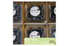 ＜すだ農園＞栽培期間中農薬不使用 朝摘み ブルーベリー 生果実 600g◇ ｜ 果実 新鮮フルーツ ※北海道・沖縄・離島への発送不可 ※2025年8月から順次発送予定