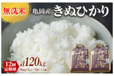 定期便 無洗米 10kg 12ヶ月 京都丹波産 キヌヒカリ 12回定期便 10kg （5kg×2袋） ×12回 計120kg ※受注精米◇《米 白米 きぬひかり 計120kg ふるさと納税 無洗米 大嘗祭供納品種》
※北海道・沖縄・離島への配送不可