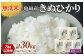 【定期便】亀岡そだちキヌヒカリ【無洗米】真空パック10kg