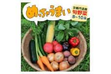 ＜３６９商店＞京都丹波産旬の野菜セット　※全て栽培期間中農薬・化学肥料不使用 ※北海道・沖縄・離島への配送不可