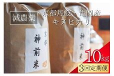 【令和7年産】新米 先行予約 10kg ×3回 京都・神前米 キヌヒカリ 10kg× 3ヶ月 計30kg ☆精米したてをお届け※2025年9月下旬以降順次発送 ≪減農薬 自家栽培米 生産農家 直送 米 精米 クリーン白米≫