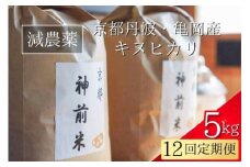 【令和7年産】新米 先行予約 5kg ×12回 京都・神前米 キヌヒカリ 5kg×12ヶ月 計60kg ☆精米したてをお届け ※2025年9月下旬以降順次発送 ≪減農薬 自家栽培米 生産農家 直送 米 精米 クリーン白米≫