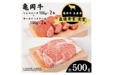 ＜期間限定＞亀岡牛 ヒレステーキ 2枚（200g）・サーロインステーキ 2枚（300g）セット　☆祝！亀岡牛 2023年最優秀賞（農林水産大臣賞）受賞 ＜冷蔵でお届け＞