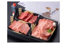 渓山閣 和牛三種 食べ比べセット「亀岡牛・京の肉・丹波牛」 3人前 （日帰り温泉 入浴券付き） ※北海道、沖縄、離島への配送不可