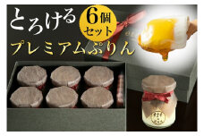 ＜ビストロ・エテ＞eteのプレミアムぷりん 6個