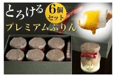 ＜ビストロ・エテ＞eteのプレミアムぷりん 6個