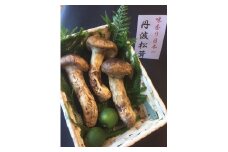 期間・数量限定 極上 丹波松茸 詰め合わせ ＜京都・八光館＞ ※2025年10月中旬以降順次発送予定 ※北海道・沖縄・北東北（青森、岩手、秋田）・その他離島配送不可