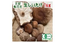 安心・安全 有機JAS認証取得　京都亀岡産 有機 生椎茸　京都しいたけ「厚太」1kg ≪肉厚 生しいたけ≫