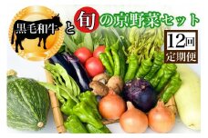 【12回定期便】黒毛和牛 ＆ 旬の京野菜 詰合せ　毎月お届け・全12回コース
《野菜定期便 野菜詰め合わせ 野菜セット 京野菜 旬の野菜 新鮮野菜 牛肉》