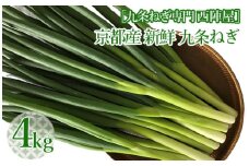 ［九条ねぎ専門 西陣屋］京都産 新鮮 九条ねぎ たっぷり 4kg《京都ブランド 京野菜 九条ネギ 葱》